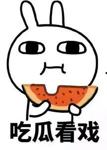 娱乐吃瓜酱体味,吃瓜酱体味背后的故事